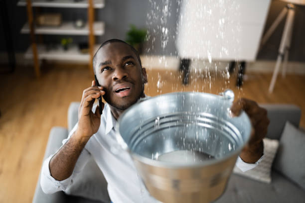 Best Water damage restoration near me  in Phelan, CA