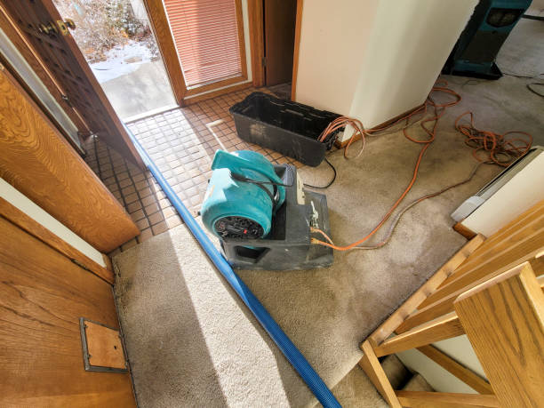 Best Water damage cleanup near me  in Phelan, CA