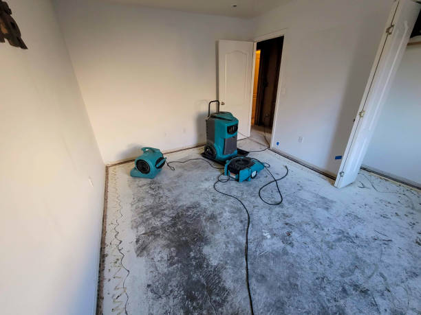 Best Water damage restoration experts  in Phelan, CA