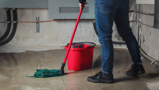 Carpet water damage restoration in Phelan, CA