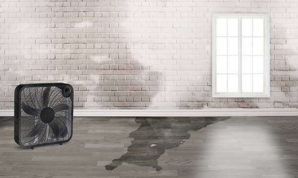 Phelan, CA Water damage restoration Company