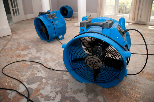 Best Local water damage restoration  in Phelan, CA