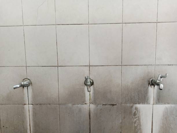 Best Sewage cleanup and water damage restoration  in Phelan, CA