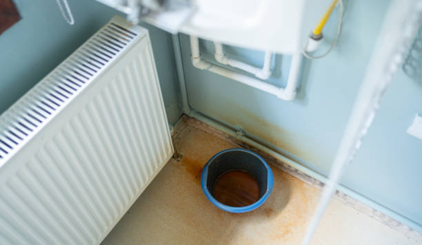 Best Flood restoration services  in Phelan, CA