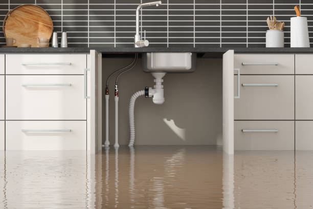 Best Flood damage cleanup  in Phelan, CA