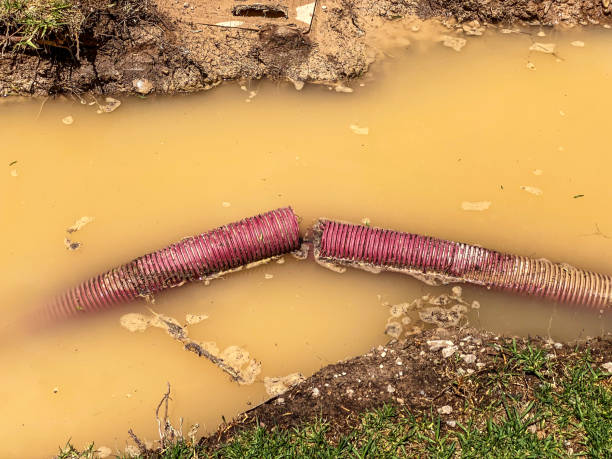 Best Emergency water damage restoration  in Phelan, CA