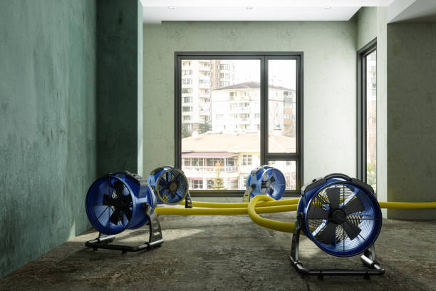 Best Emergency water damage restoration  in Phelan, CA